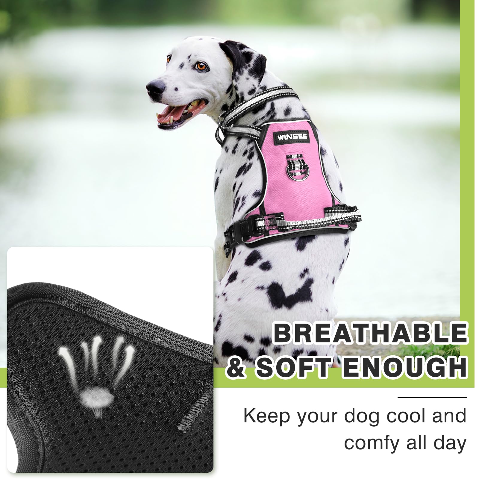 WINSEE No Pull Dog Harness with Collar - Adjustable Reflective Oxford Vest for Small Medium Large XL Dogs - Front & Back Leash Clips & Easy Control Handle - Perfect for Walking, Hiking & Outdoor Adventures