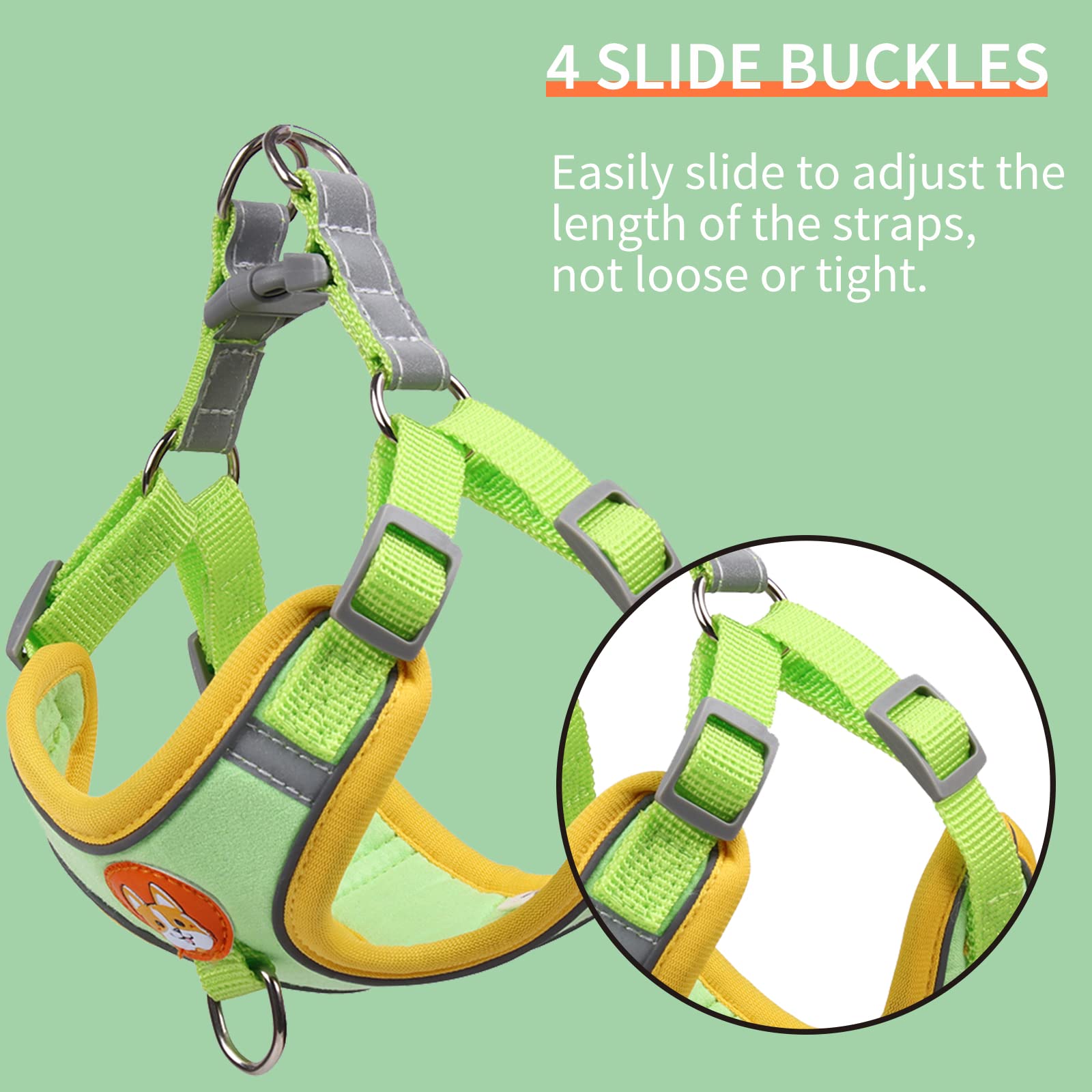 Adjustable No-Pull Dog Harness for Small & Medium Dogs - Reflective Comfort Vest with 2 Leash Clips & Matching Leash Set | Perfect for Walking, Training & Outdoor Adventures