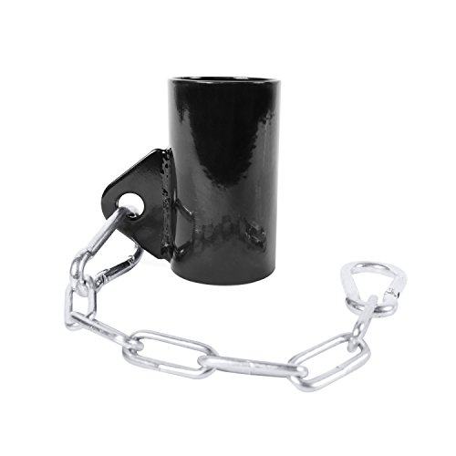 Eyelet with Chain Attachment, Fits 2 Inch Bars