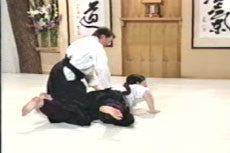 Aikido Principles & Techniques DVD by Mary Heiny - Learn Self-Defense & Martial Arts for Home Training, Dojo Practice & Fitness