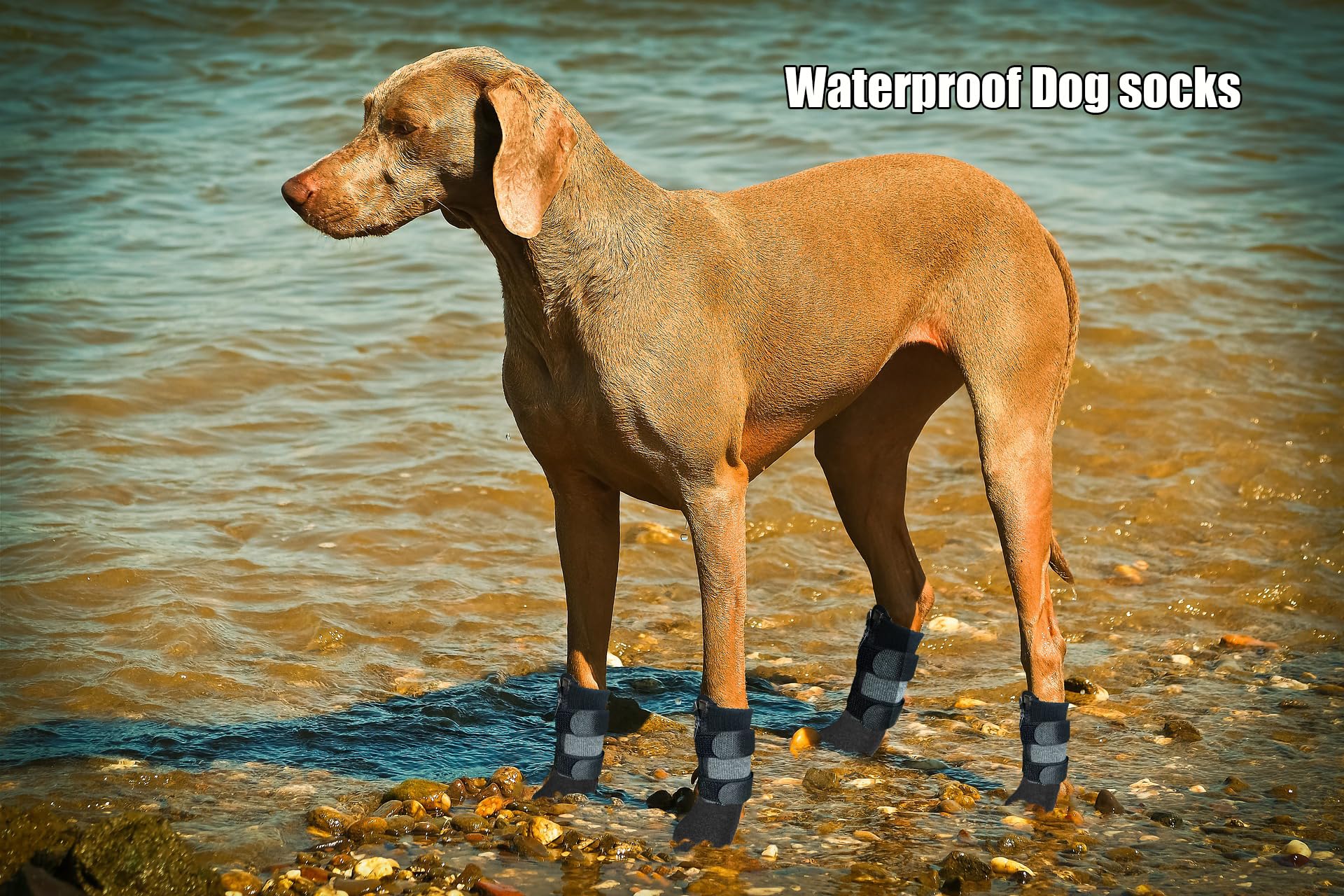 Waterproof Anti-Slip Dog Boots with Zipper - Paw Protector Shoes for Small Medium Large Dogs - Indoor Outdoor Pet Booties for Hardwood Floors & Snow (Grey) | Perfect for Winter Walks, Hiking & Home Protection