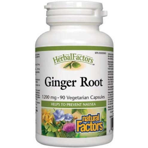 Natural Factors Ginger Root 1200mg - 90 Vegan Capsules for Digestive Support & Nausea Relief - Herbal Supplement for Motion Sickness & Stomach Comfort