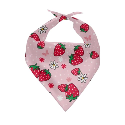 Pink Strawberry Floral