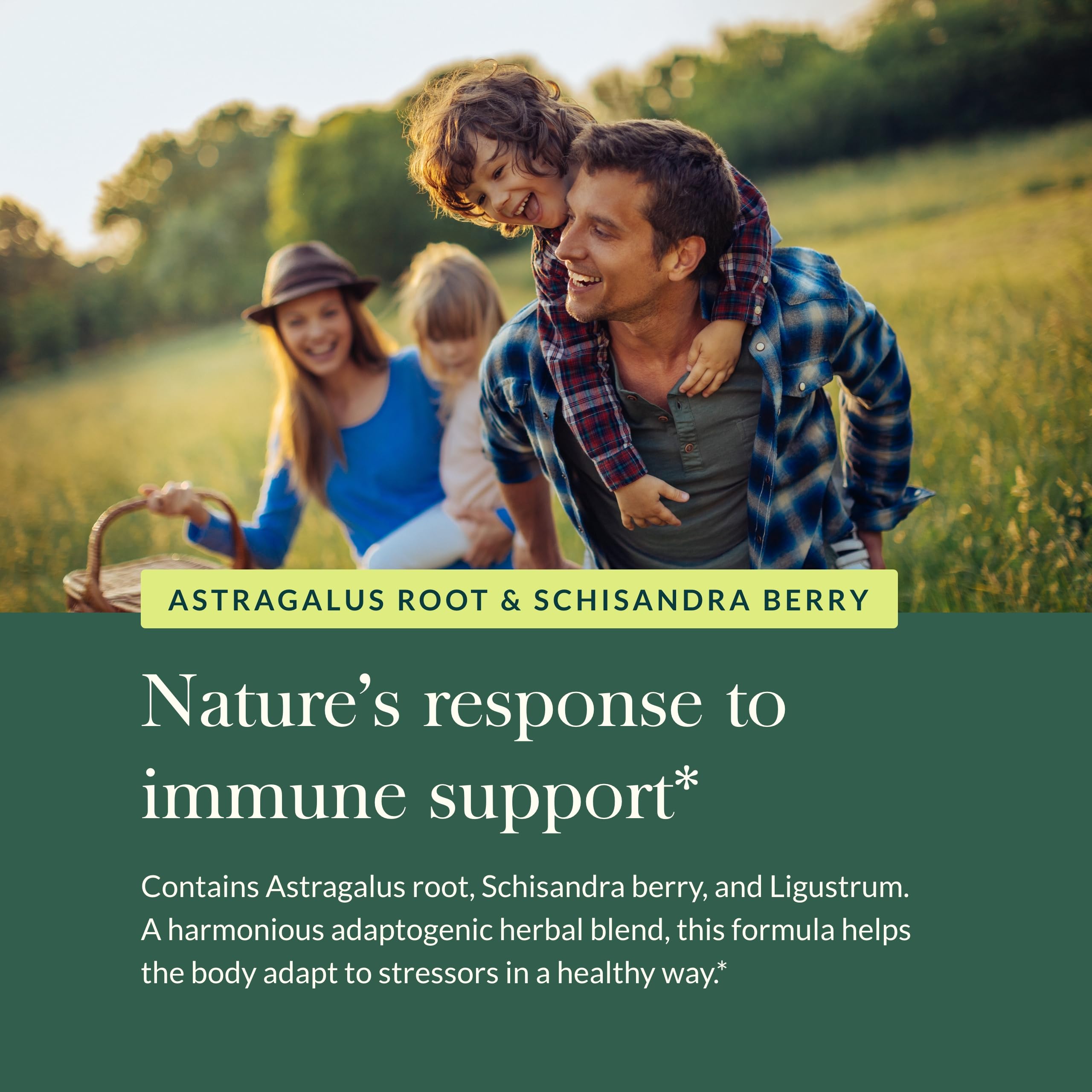 Gaia Herbs Astragalus Supreme - Immune & Antioxidant Support Supplement with Astragalus Root, Schisandra Berry & Ligustrum - 120 Vegan Liquid Phyto-Capsules (30-Day Supply) - Boost Immunity & Energy for Busy Professionals & Active Lifestyles