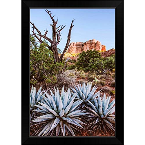 Black Frame