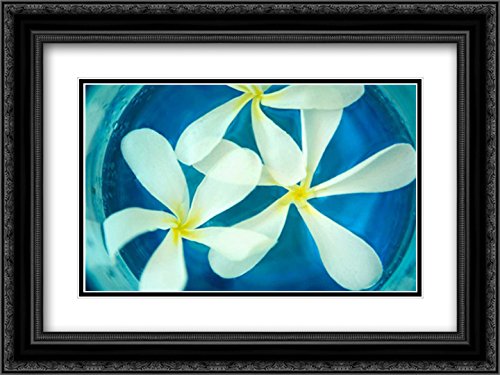 Floating Flowers II - 18x15 Black Ornate Framed & Double Matted Museum Art Print by Karyn Millet | Perfect for Living Room, Bedroom & Office Wall Decor