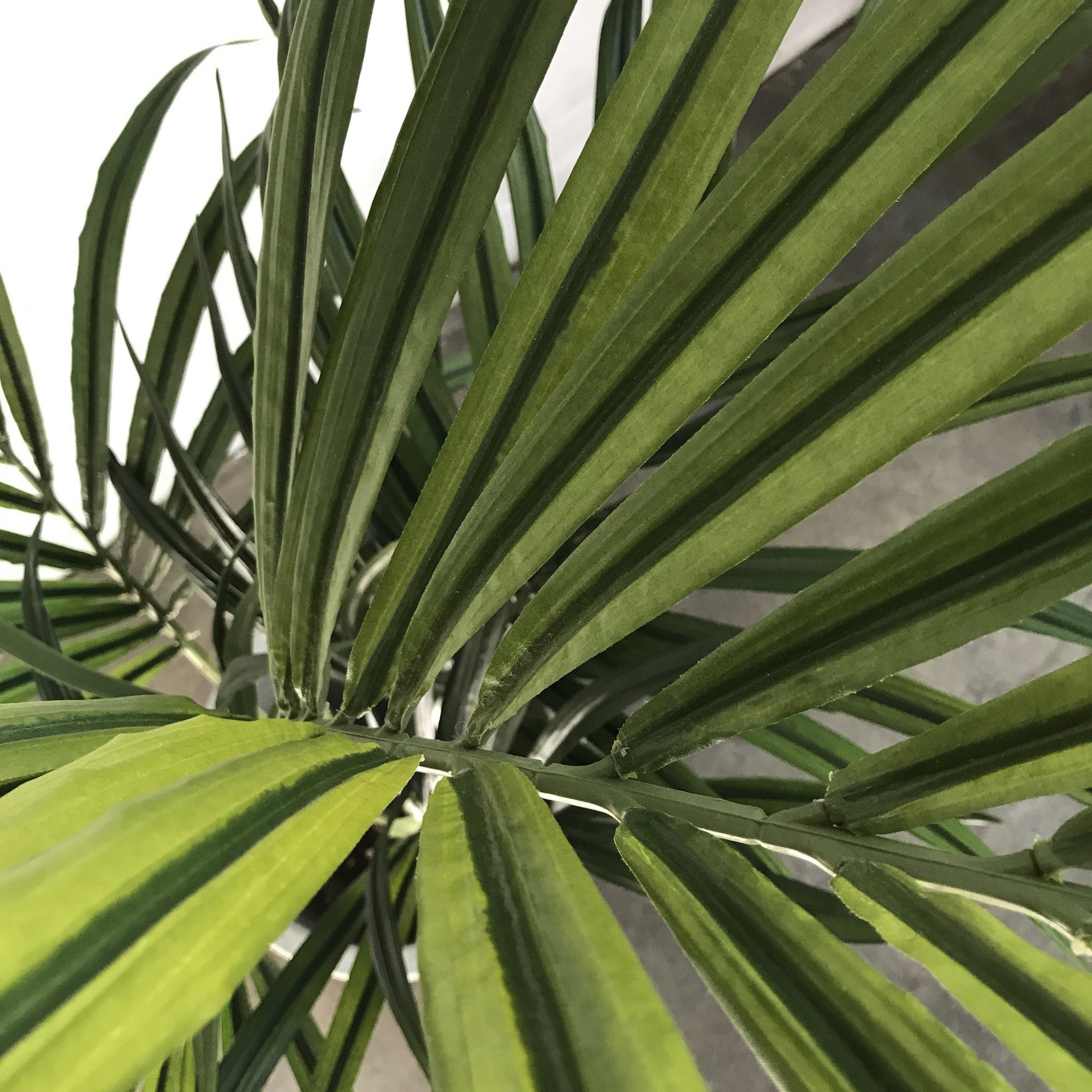 Premium Artificial Kentia Palm Tree - 5ft Tall Lifelike Fake Plant for Home & Office Decor - Perfect for Living Room, Bedroom, or Indoor Greenery