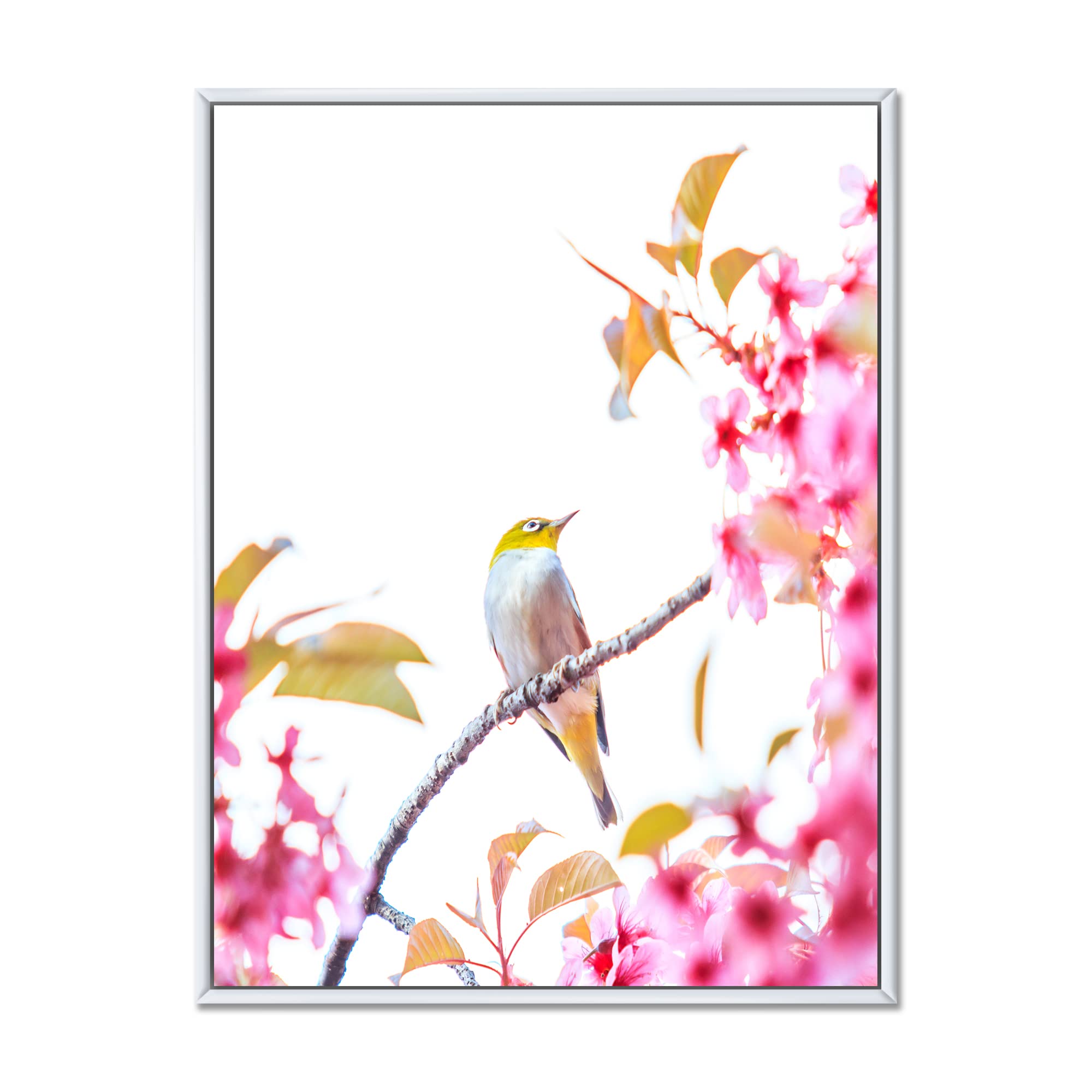 Bird on Cherry Blossom - Traditional Japanese Framed Canvas Wall Art Print - Perfect for Living Room, Bedroom & Office Decor