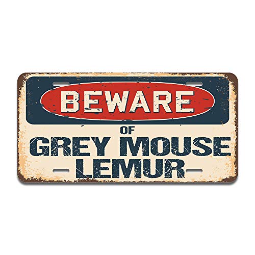 Beware of Grey Mouse Lemur