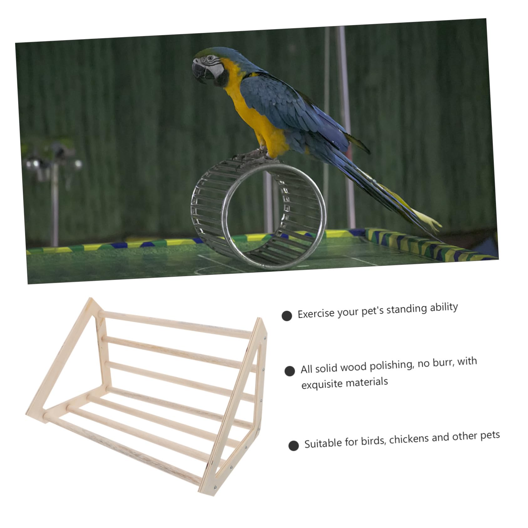 Balacoo Wooden Chicken Stand - Pet Parrot Perch, Poultry Rack & Bird Cage Accessory for Hens, Chicks & Small Birds - Durable & Natural Wood Toy for Indoor/Outdoor Use