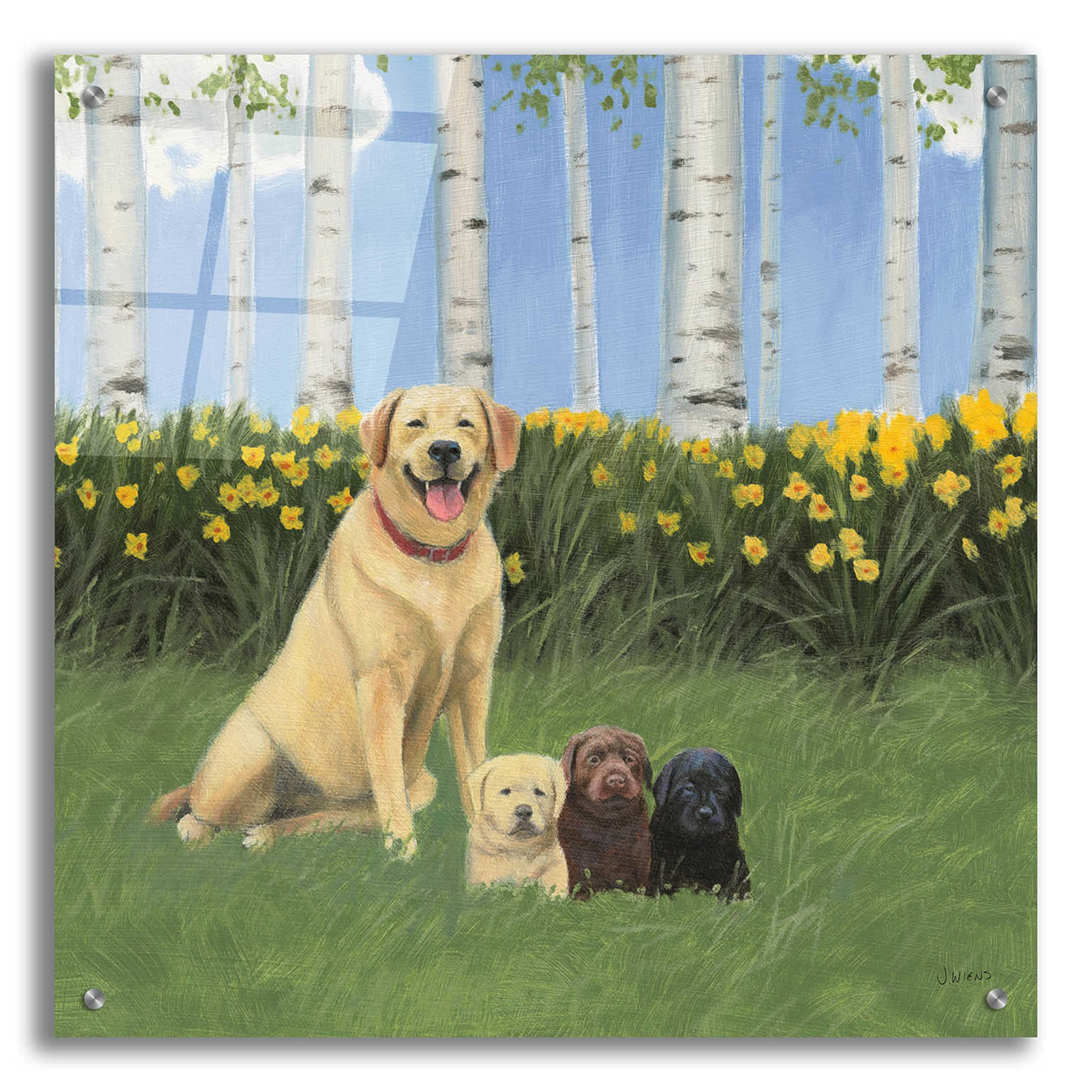 Proud Mom Acrylic Glass Wall Art by James Wiens - 24x24 Inch Modern Home Decor - Perfect for Living Room, Bedroom & Office Wall Decor