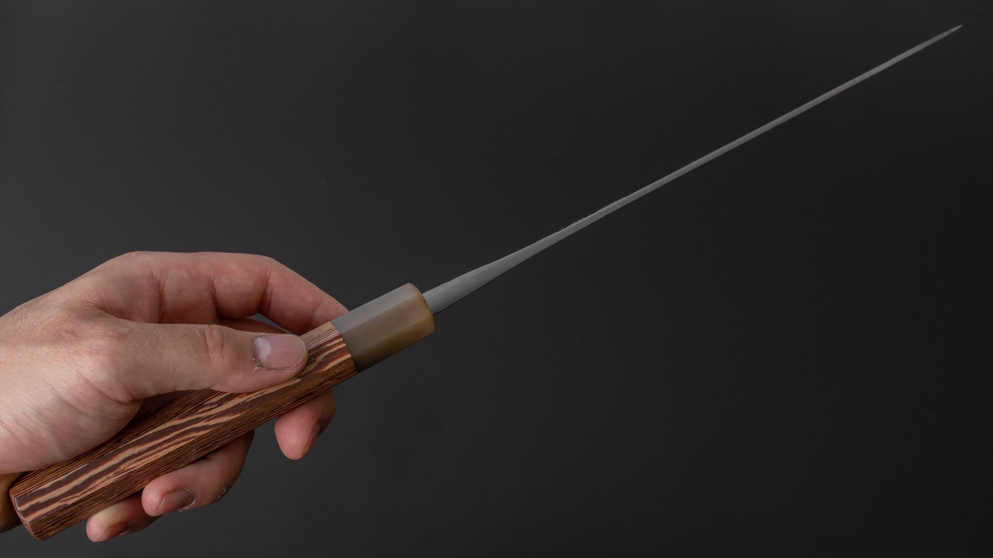 Premium Jiro Tsuchime Wa Gyuto 240mm Japanese Chef Knife - Taihei Tagayasan Handle (#305) - Perfect for Sushi, Meat Cutting & Professional Kitchen Use