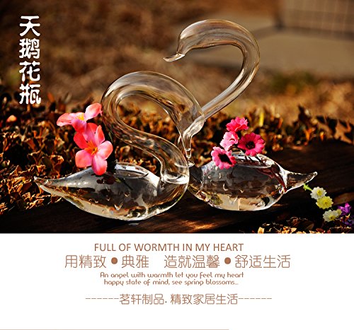 1 Pair Swan-Shaped Clear Glass Flower Vase - Elegant Home Decor for Valentine's Day, Wedding Centerpiece & Romantic Gift Idea