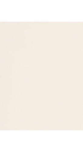 Premium 65 lb Ivory Cardstock Paper 8.5 x 11 Inches - 250 Sheets for Scrapbooking, DIY Crafts, Greeting Cards & Invitations | Heavyweight Off-White Paper for Wedding, School Projects & Office Use