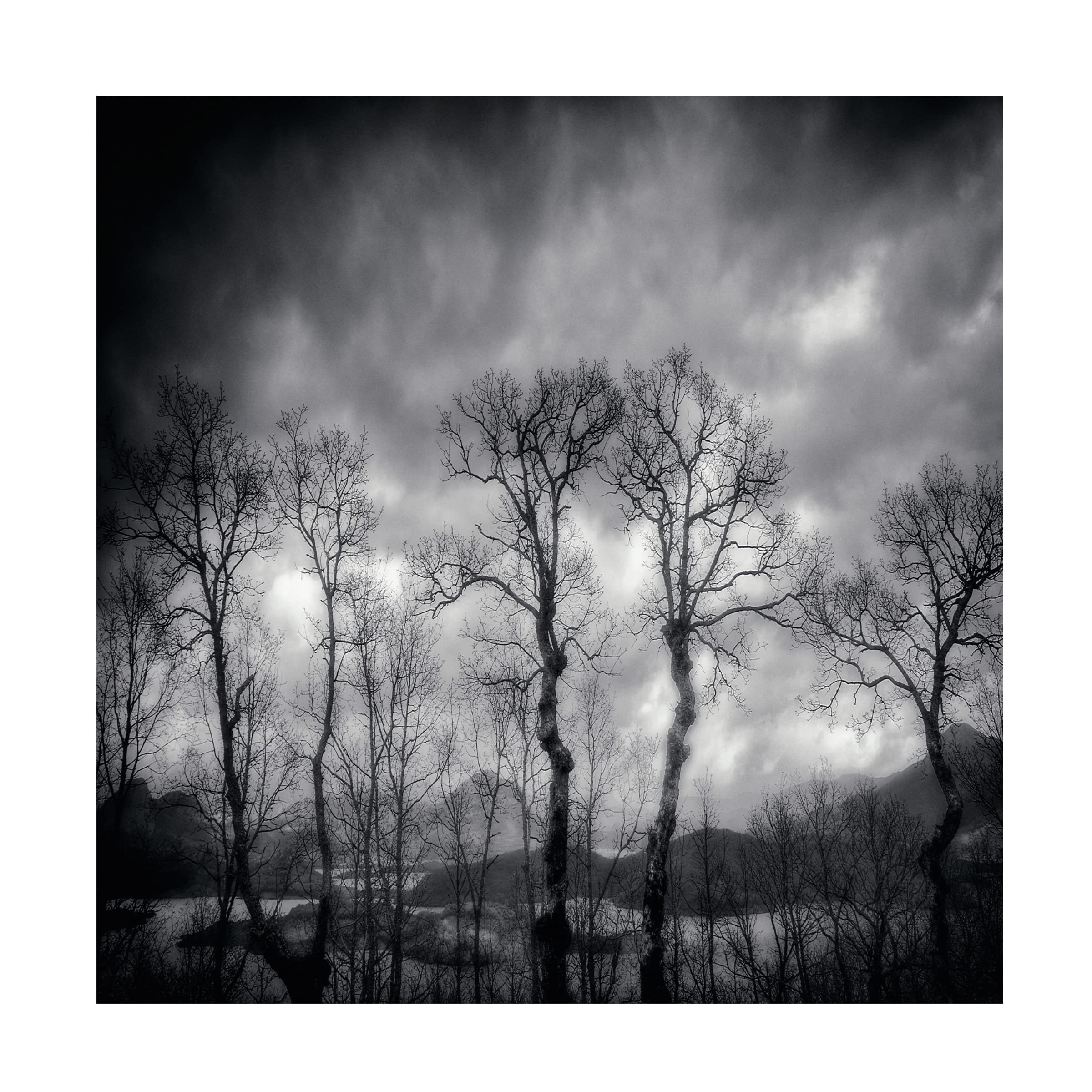 Trademark Fine Art 'Last Days' Canvas Wall Art by Txules - Stunning Modern Home Decor for Living Room, Bedroom & Office