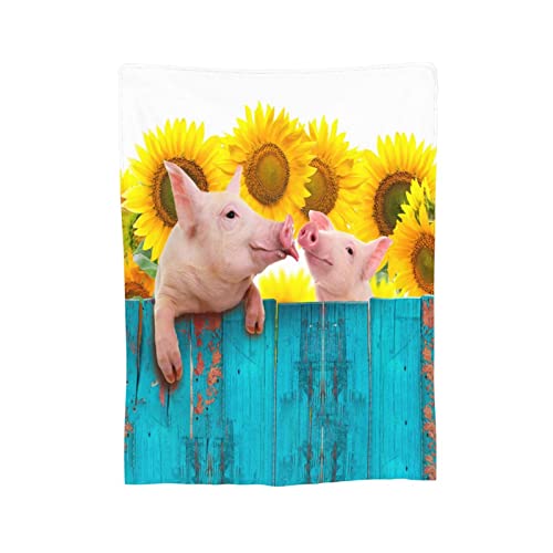 Pigs and Sunflower