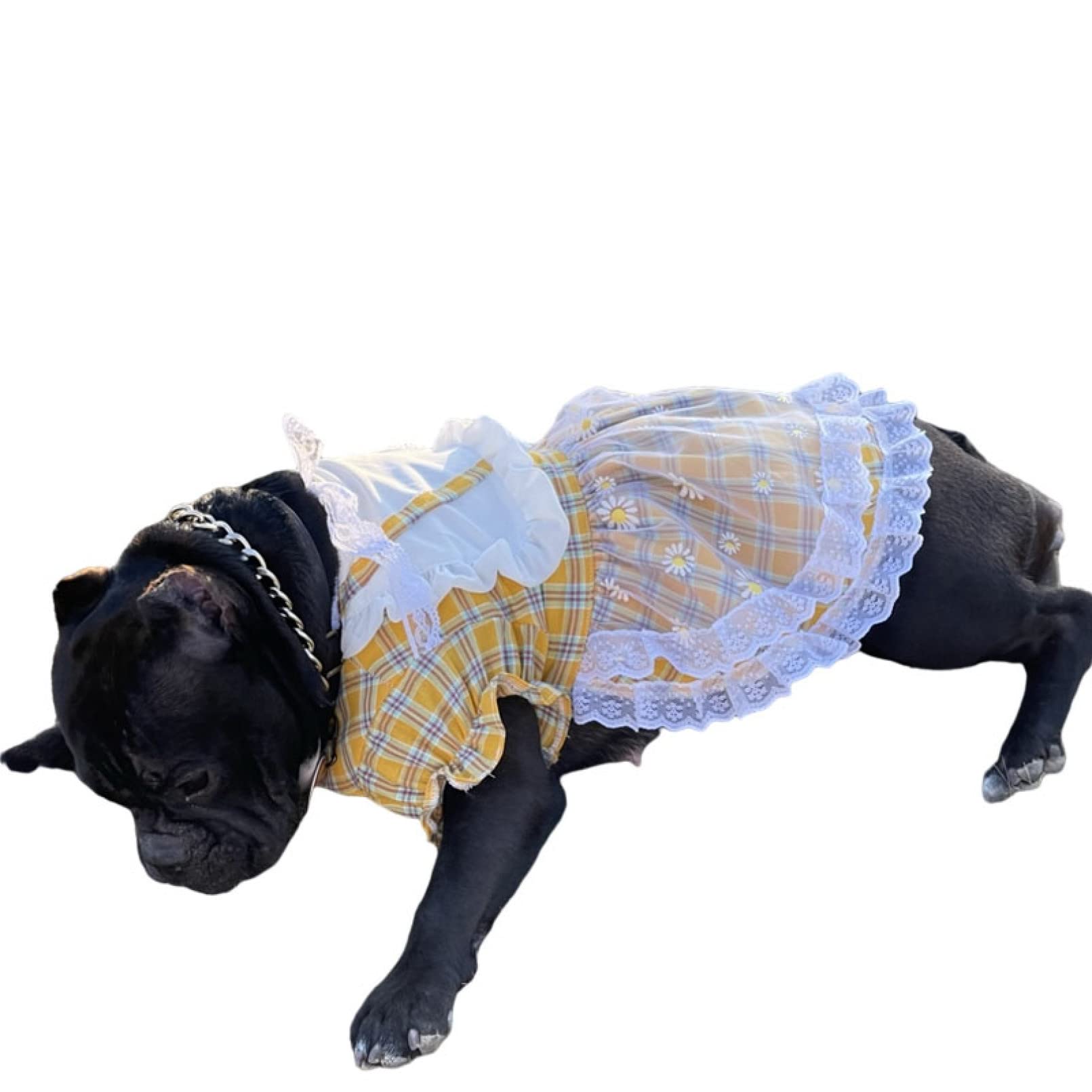 Cute Cotton Lace Daisy Print Pet Dress - Summer Gauze Skirt for Small Dogs & Cats - Perfect for Outdoor Walks & Photo Shoots