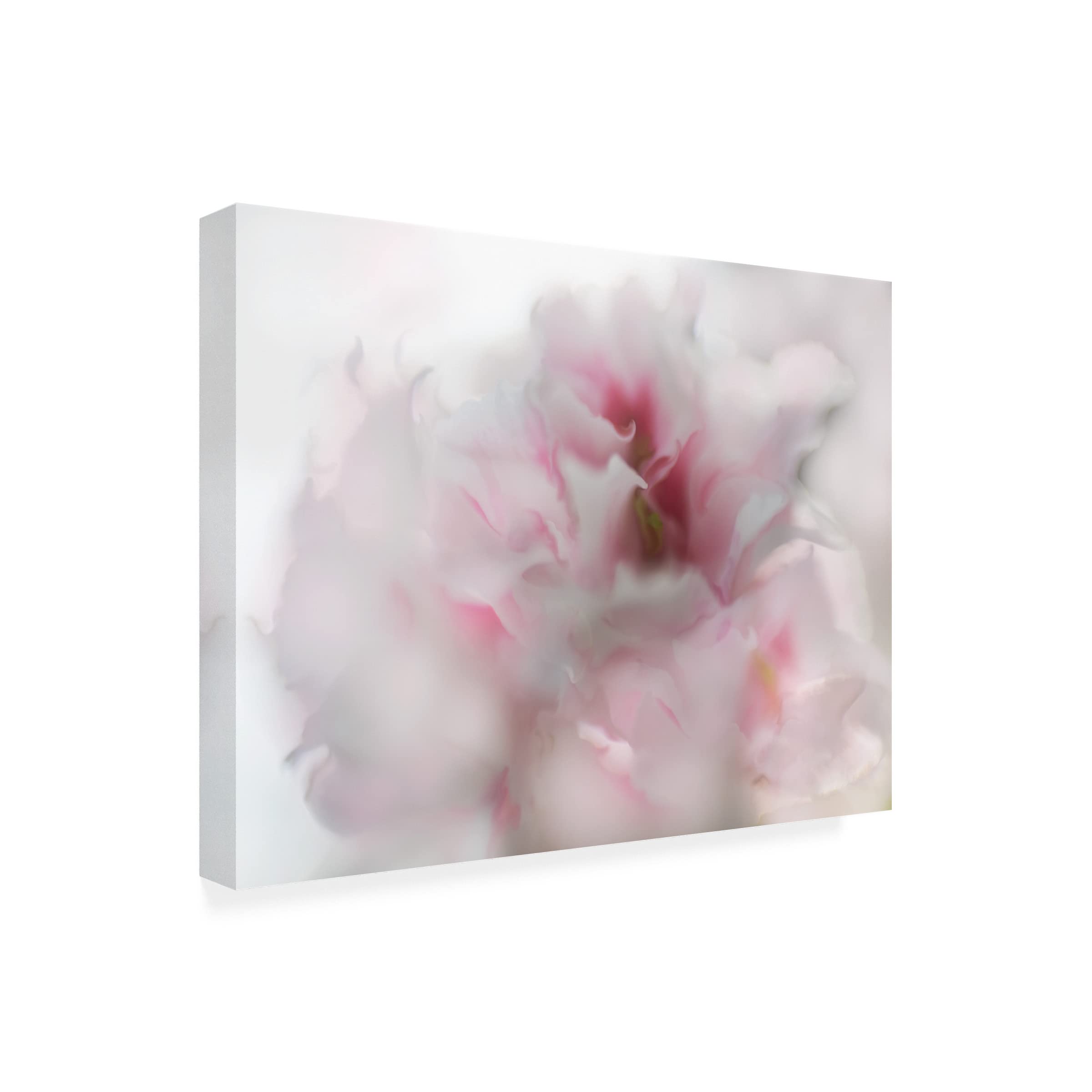 Trademark Fine Art 'Hope in Pink I' Canvas Wall Art by Gillian Hunt - Pink Abstract Painting for Living Room, Bedroom & Office Decor