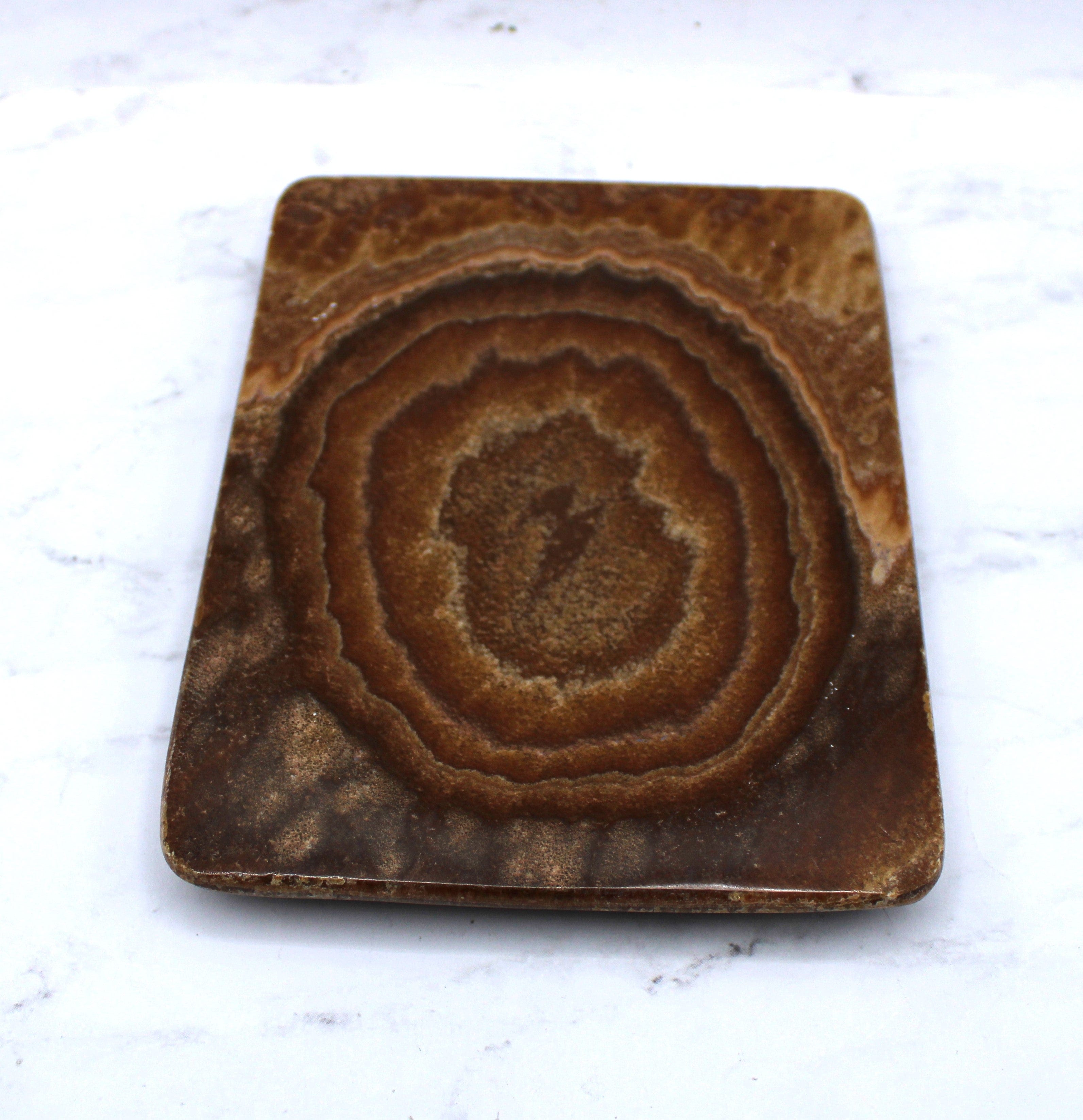 Premium Aragonite Dish 6