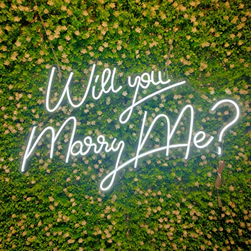 Will You Marry Me (27.5 inches +Cool White )