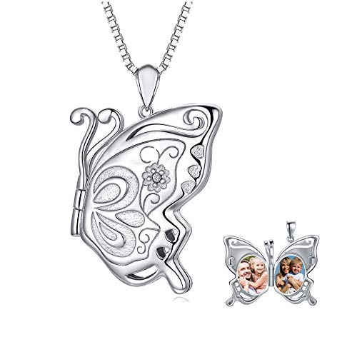 Butterfly-3