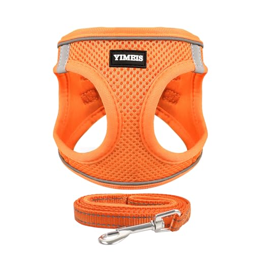 Orange01
