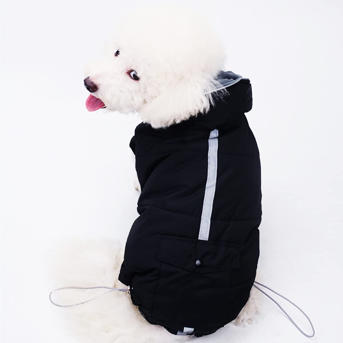 **Daggnol Reflective Winter Dog Coat - Warm & Waterproof Dog Jacket for Small, Medium, Large Dogs - Cold Weather Apparel for Outdoor Walks & Adventures**