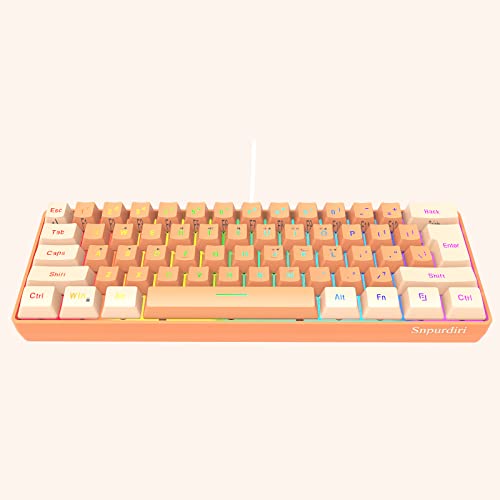 Cream and Orange
