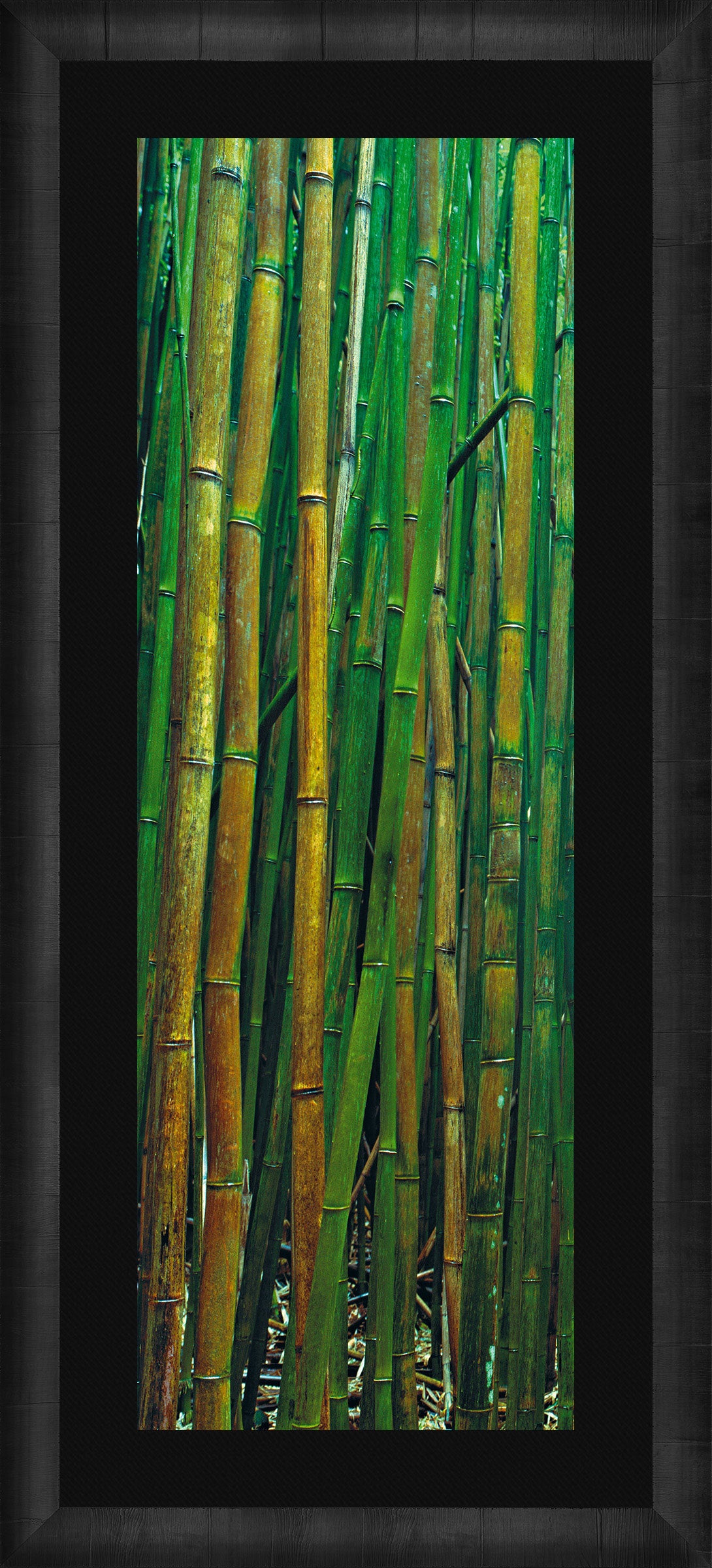 Bamboo Forest Wall Art - Natural Bamboo Decor for Home & Office - Perfect for Living Room, Bedroom, or Meditation Space