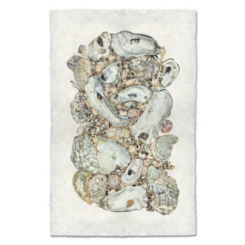 Collective Oysters Grand Format Art Print - Premium Wall Decor for Living Room, Bedroom & Office - Perfect for Coastal & Nautical Home Decor