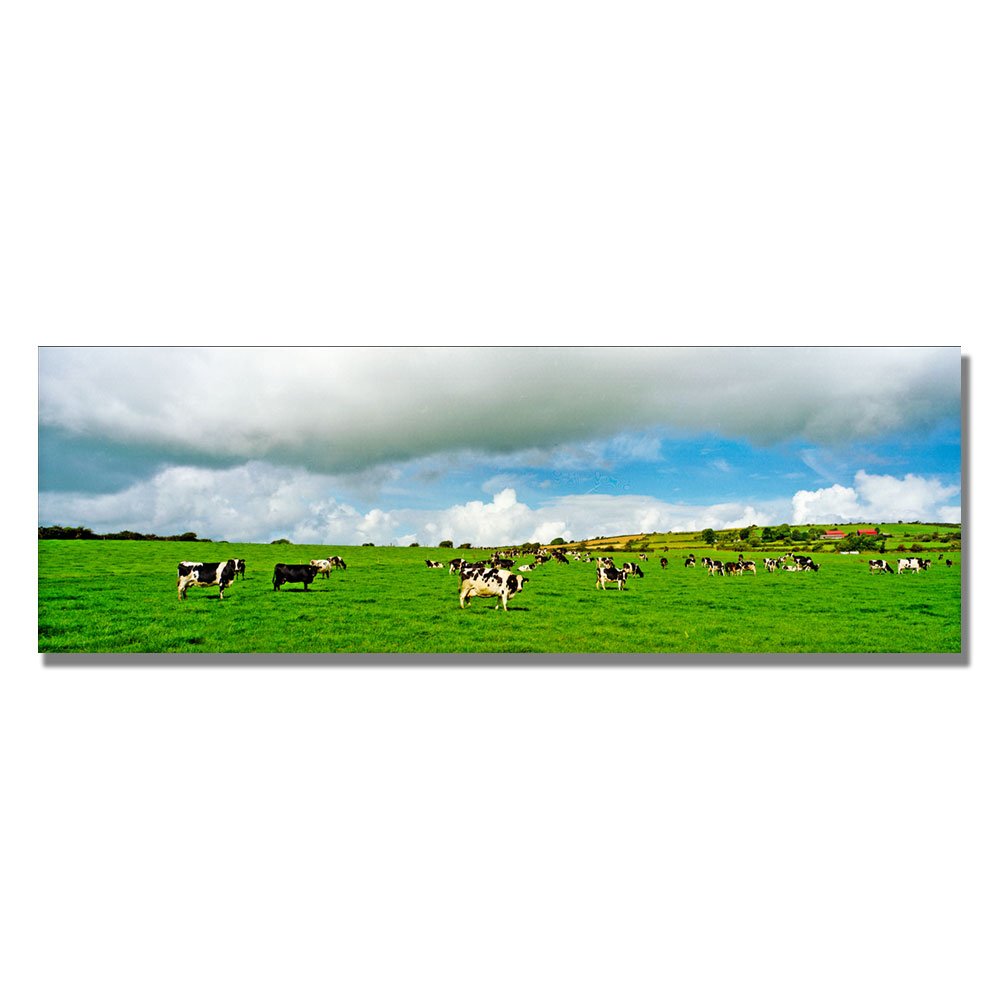 Preston Irish Countryside Canvas Art Print - 8x24 Inch Wall Decor for Living Room, Bedroom & Office - Handmade Landscape Painting for Home & Gifts