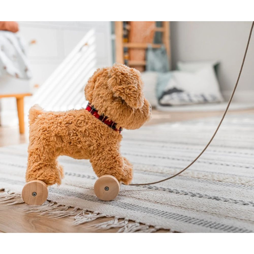 Dexter Dog Pull Along Toy - Interactive Pet Toy for Dogs, Fun Pulling & Chewing Play - Perfect for Indoor & Outdoor Playtime