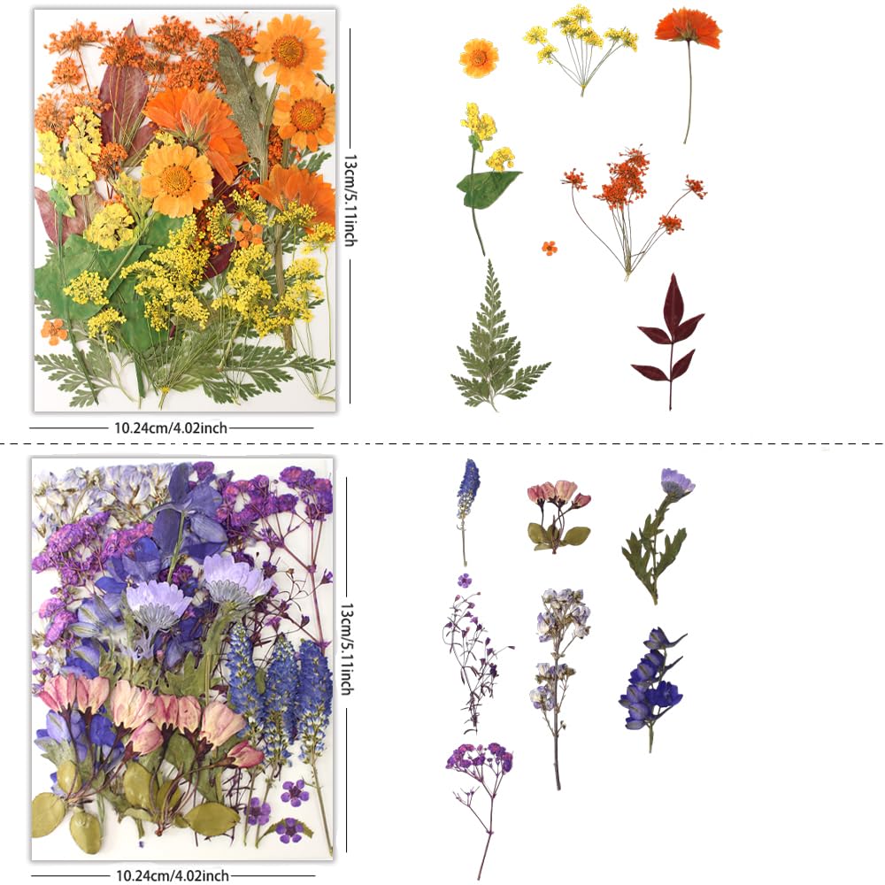 80Pcs Natural Pressed Dried Flowers Bulk for Resin Molds, Nail Art, Scrapbooking, Candle Holder & Jewelry Making - DIY Craft Supplies Kit for Home Decor, Wedding Invitations & Gift Wrapping