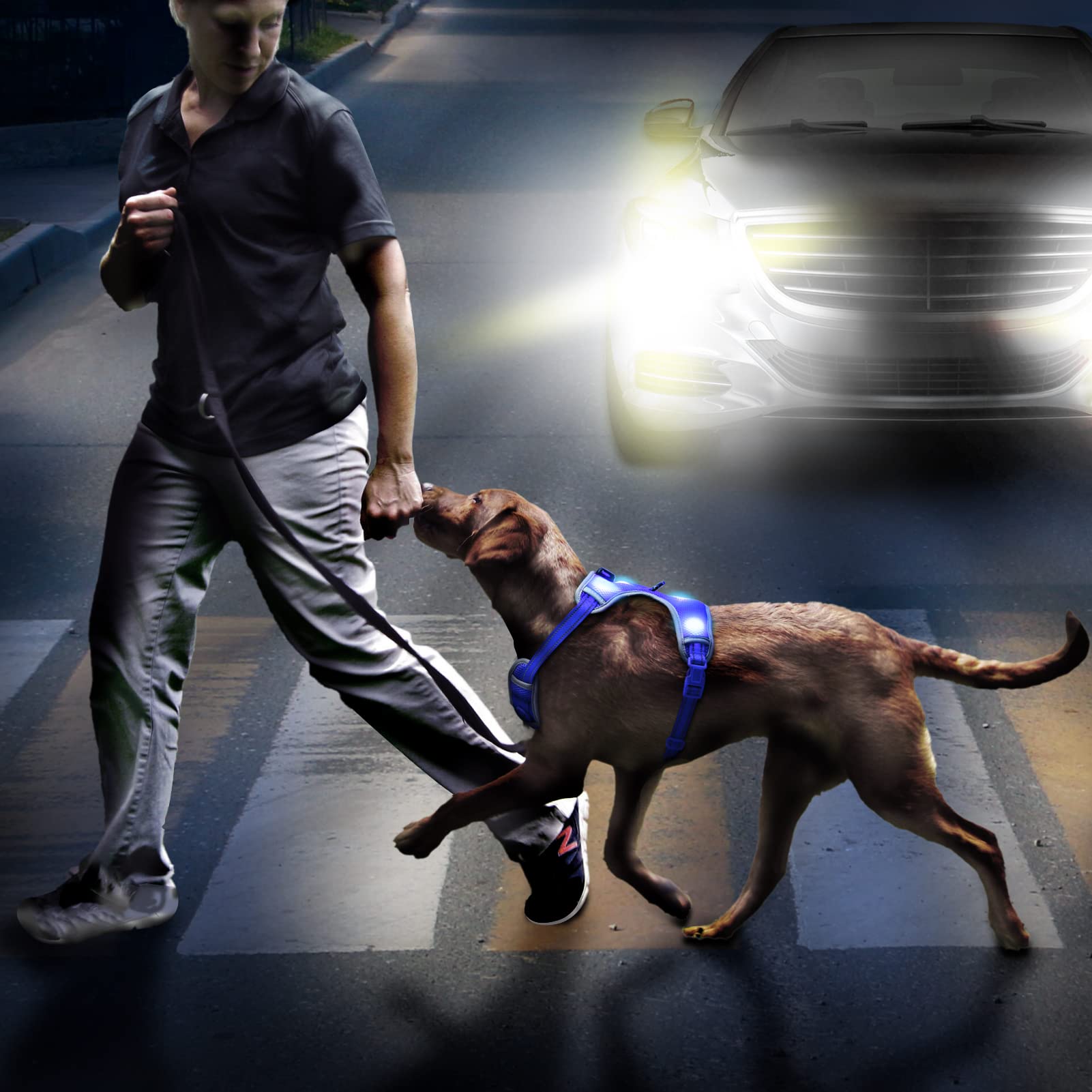 Rechargeable LED Dog Harness with Adjustable Reflective Vest - Glow in The Dark Safety Light for Night Walking (Blue, Large) - Perfect for Evening Jogs, Camping & Outdoor Adventures