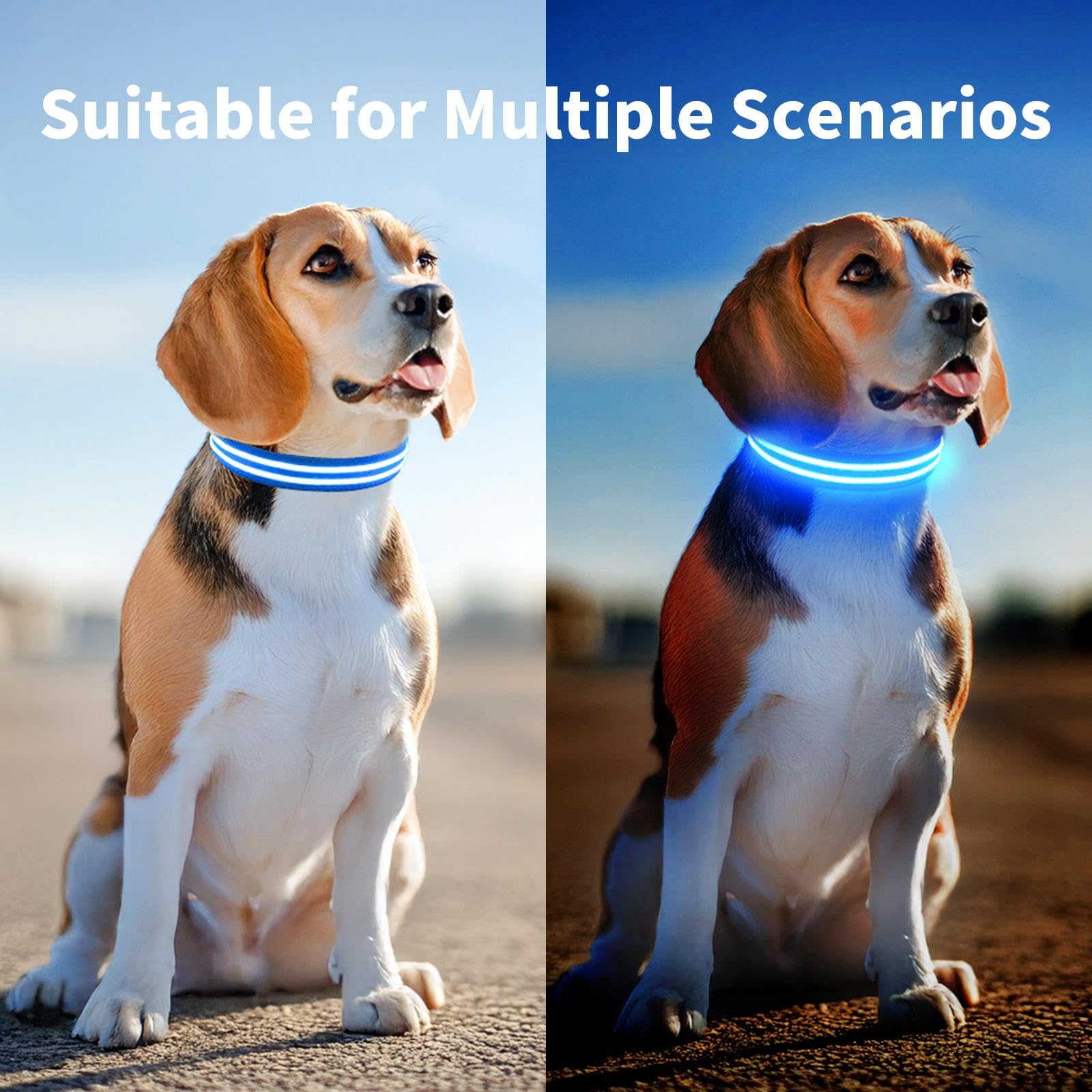 Rechargeable LED Dog Collar - Waterproof Flashing Safety Collar with Glow in The Dark Light for Small Medium Large Dogs | Night Walking, Jogging, Camping & Outdoor Activities