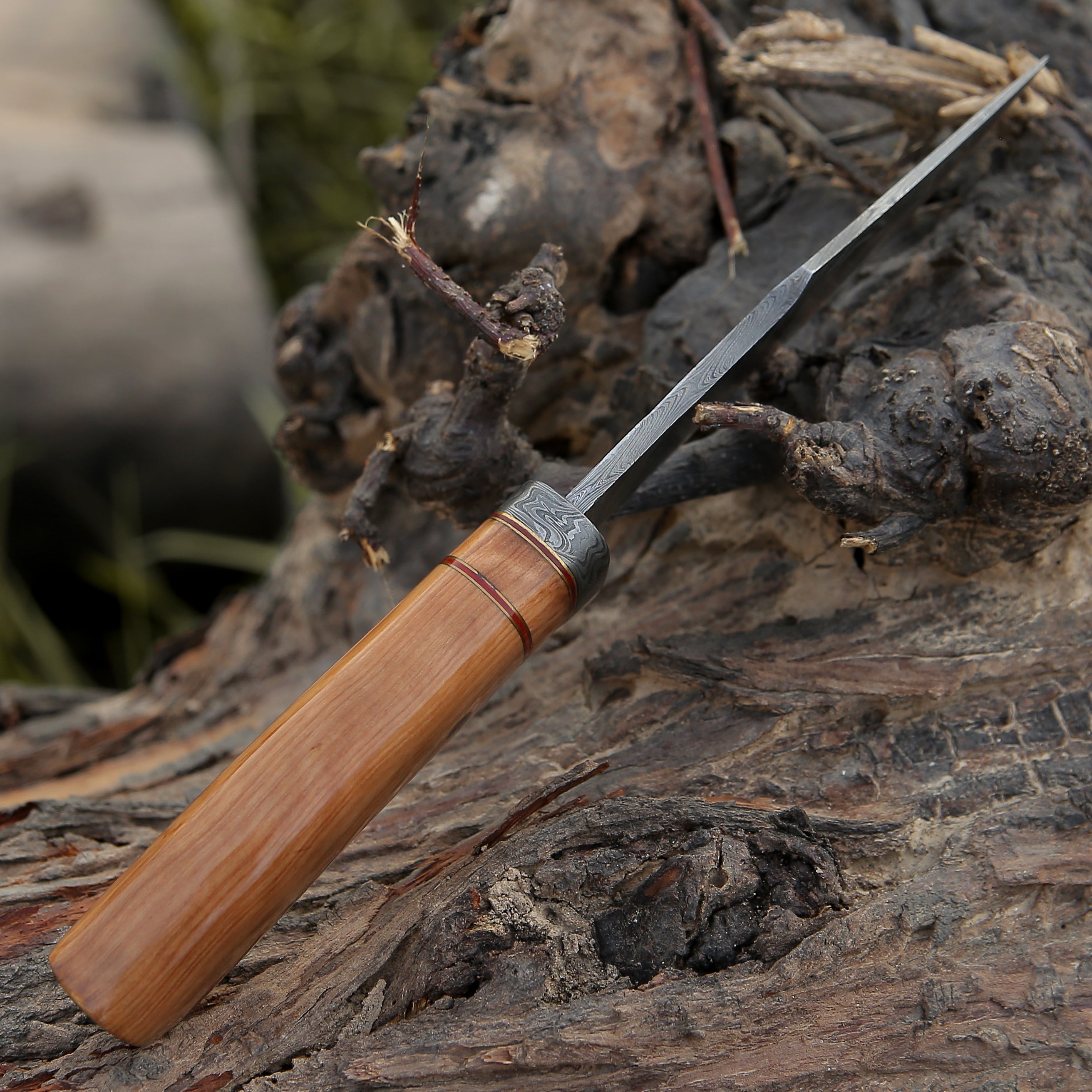 Premium Damascus Steel Hunting Knife with Exotic Olive Wood Handle - Perfect for Outdoor Adventures, Camping & Survival Gear