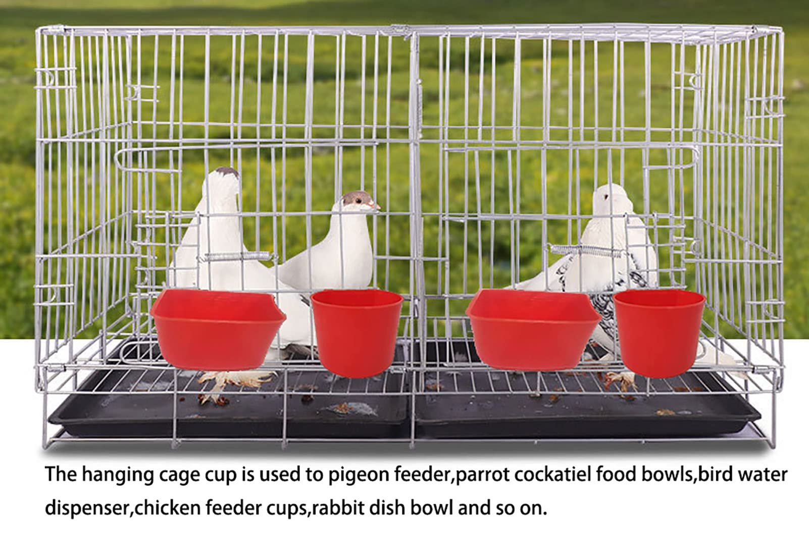 10PCS Red Hanging Wire Cage Cups - 8oz/16oz Bird Feeders & Water Bowls for Parrots, Parakeets, Chickens, Pigeons, Rabbits - Durable Seed & Food Dishes for Pet Birds, Poultry Coops & Outdoor Use