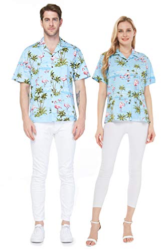 Blue Flamingos