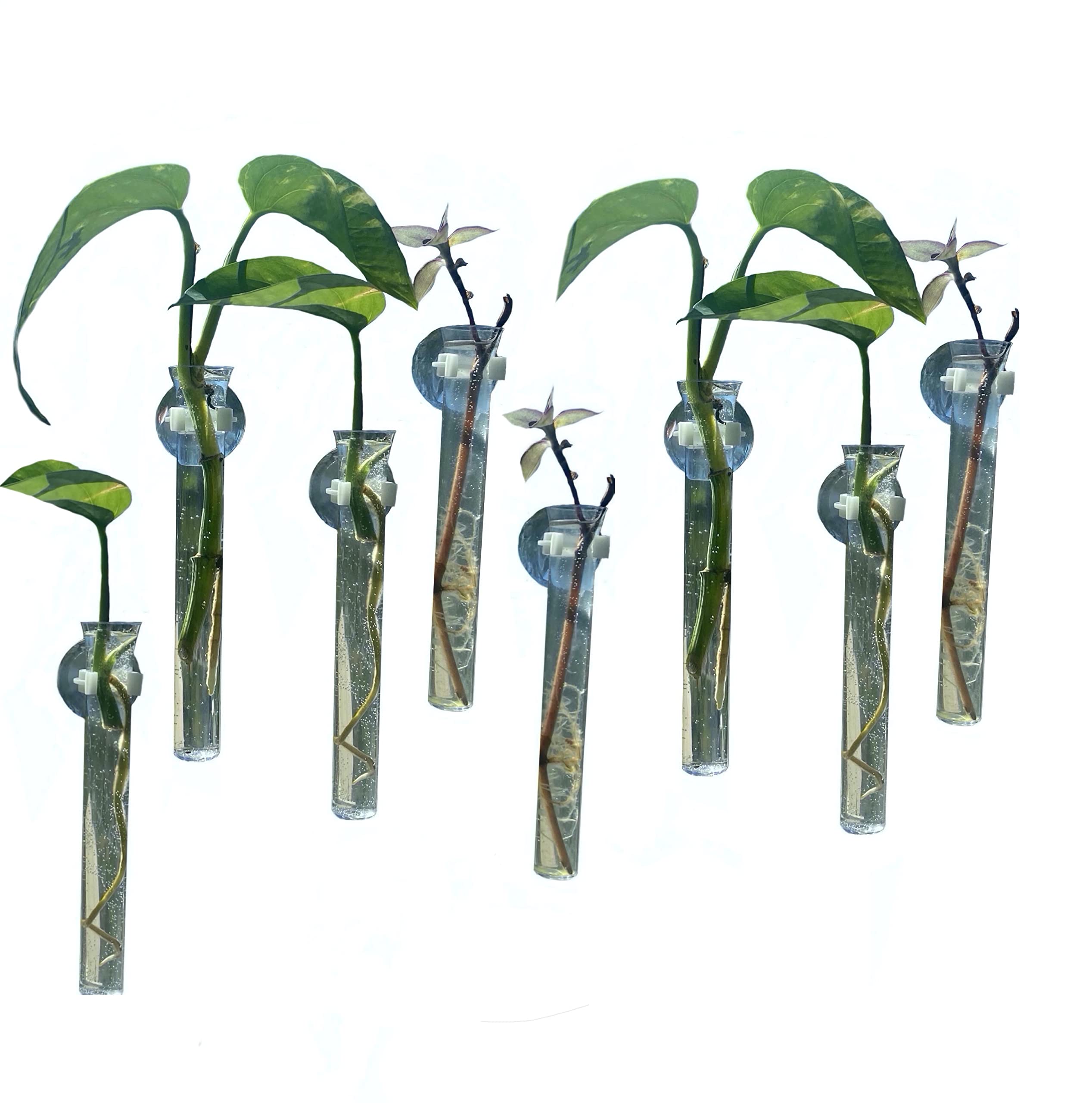 12 Clear Plastic Propagation Vases with Suction Cups - Hydroponic Plant Growers, Window & Mirror Decor for Indoor Gardening - Perfect for Herbs, Succulents & Home Decor Projects
