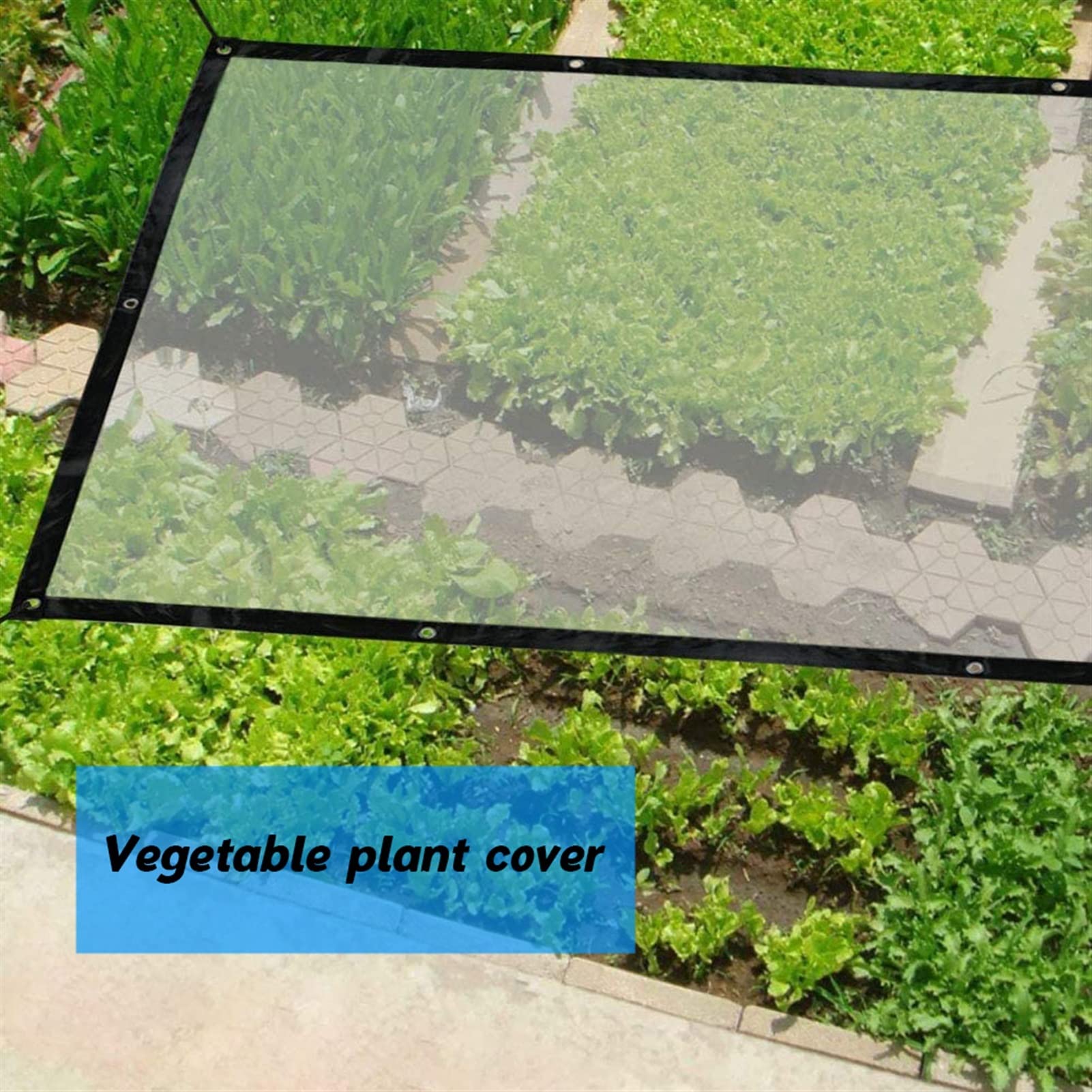 Clear Tarps with Grommets - Waterproof Plastic Oilskin Cover for Outdoor Patio, Porch, Greenhouse & Canopy (5x6m/16x20ft) - Perfect for Weather Protection, Garden Shelter & Temporary Enclosures