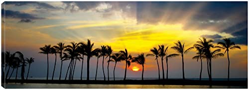 Palm Brilliance