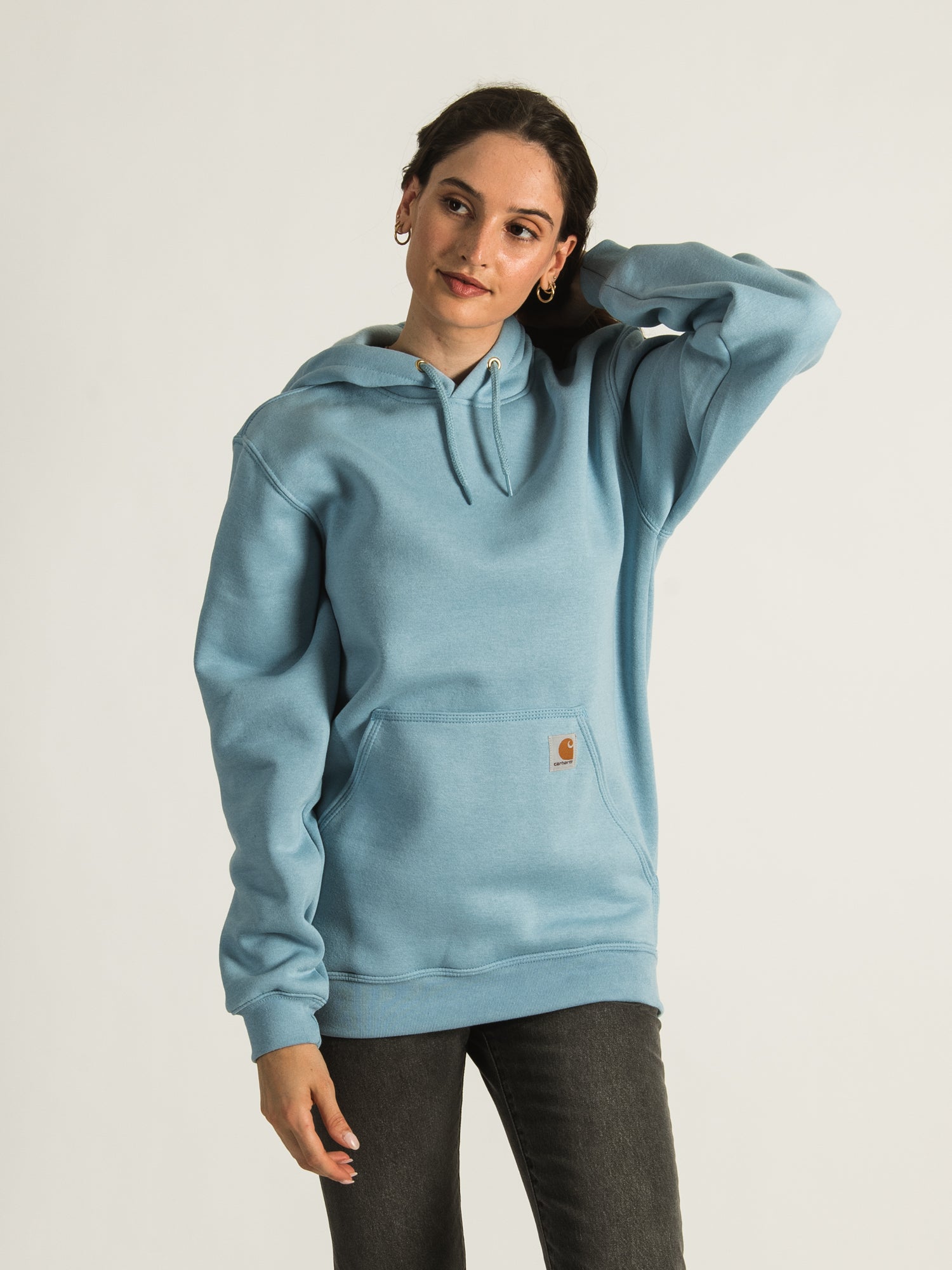Carhartt Men's Sleeve Pullover Hoodie - Heavyweight Fleece Lined Sweatshirt for Work & Outdoor Activities | Clearance Sale