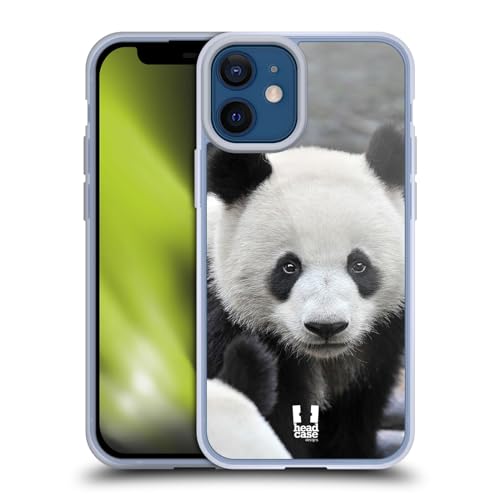 Close-Up Panda