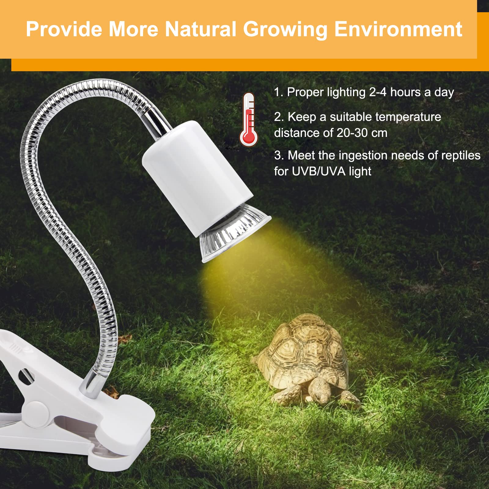 50W UVA UVB Reptile Heat Lamp with 2 Bulbs - Adjustable 360° Rotatable Clip & Switch - Ideal for Turtles, Lizards, Snakes & Amphibians - Perfect for Aquariums, Terrariums & Reptile Habitats