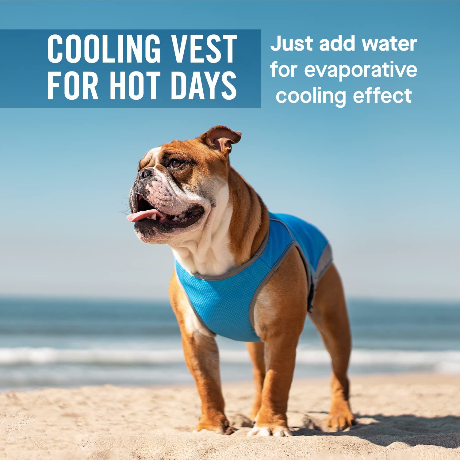 Canada Pooch Dog Cooling Vest - Breathable Mesh & Reflective Adjustable Cooling Vest for Medium Dogs (19-21