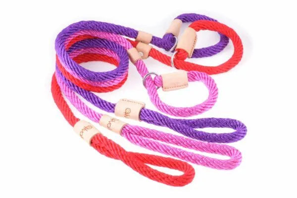 Sport Slip Lead Dog Leash with Stopper - Adjustable Training Leash for Dogs, Multiple Colors & Sizes - Perfect for Walking, Training, and Outdoor Activities