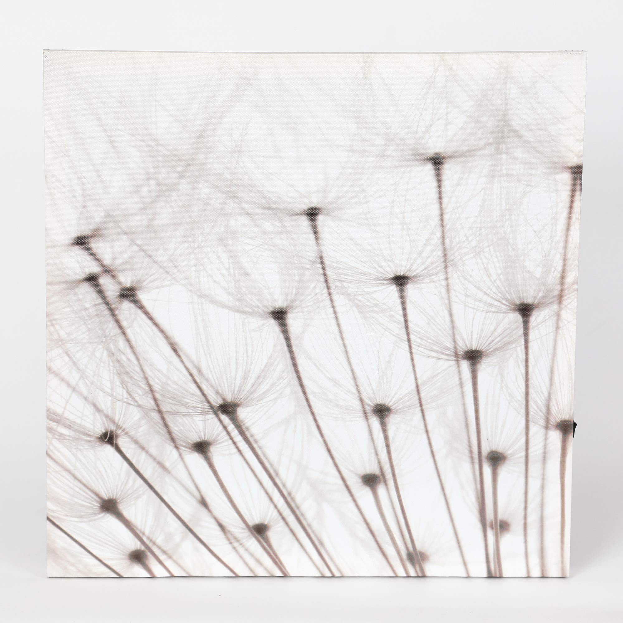 LuxenHome 3-Piece Dandelion Canvas Wall Art - Lighted Botanical Decor for Living Room & Bedroom