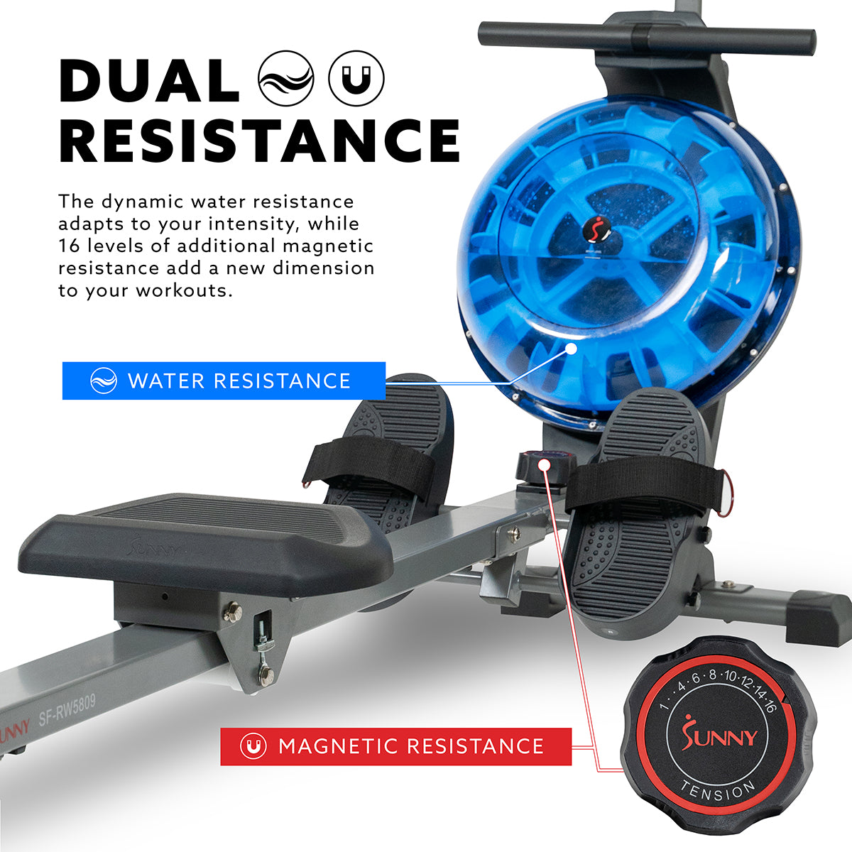 Hydro+ Dual Resistance Magnetic Water Rowing Machine for Home Gym - Full Body Workout Equipment for Cardio & Strength Training | Perfect for Small Spaces & Indoor Fitness