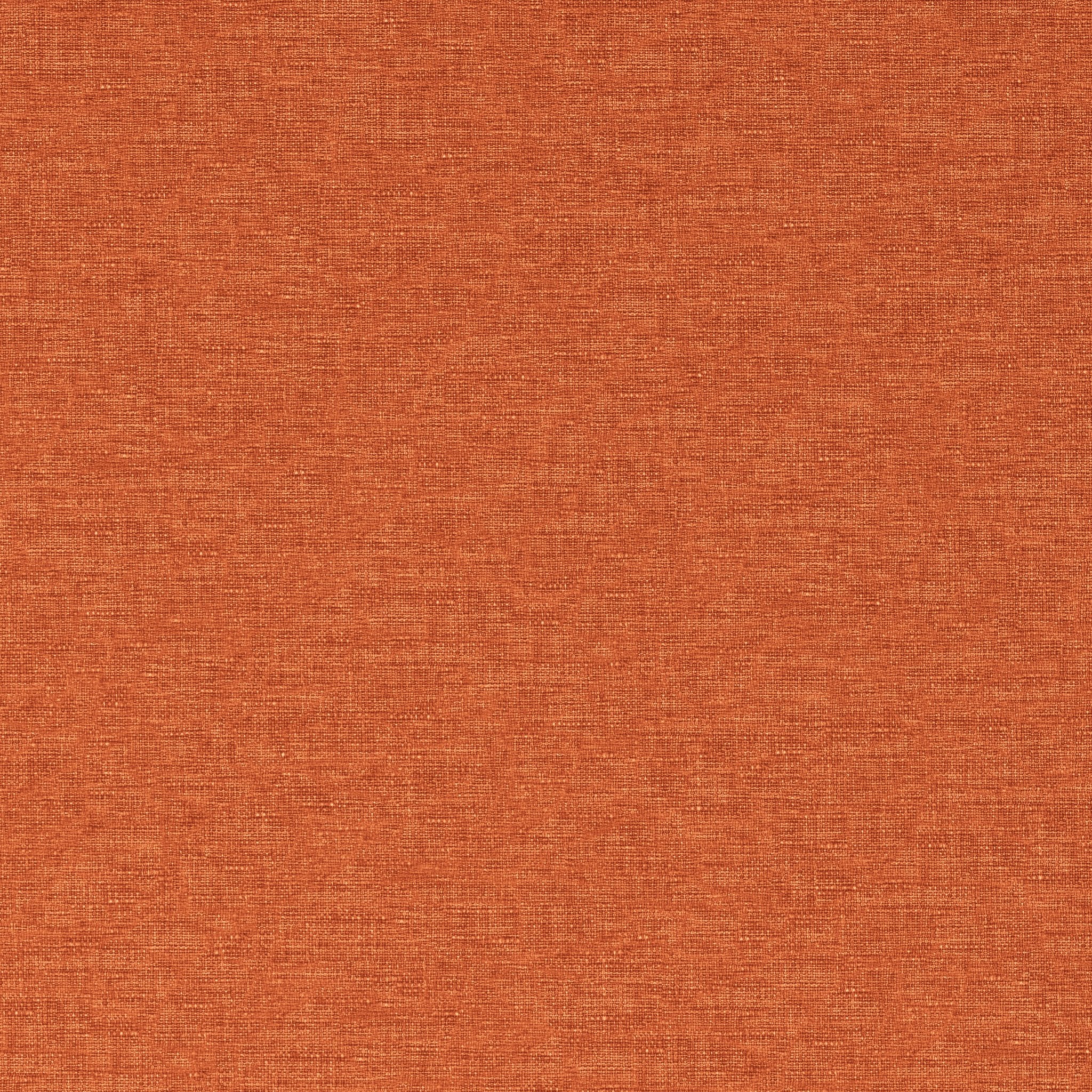 Ladybird 72