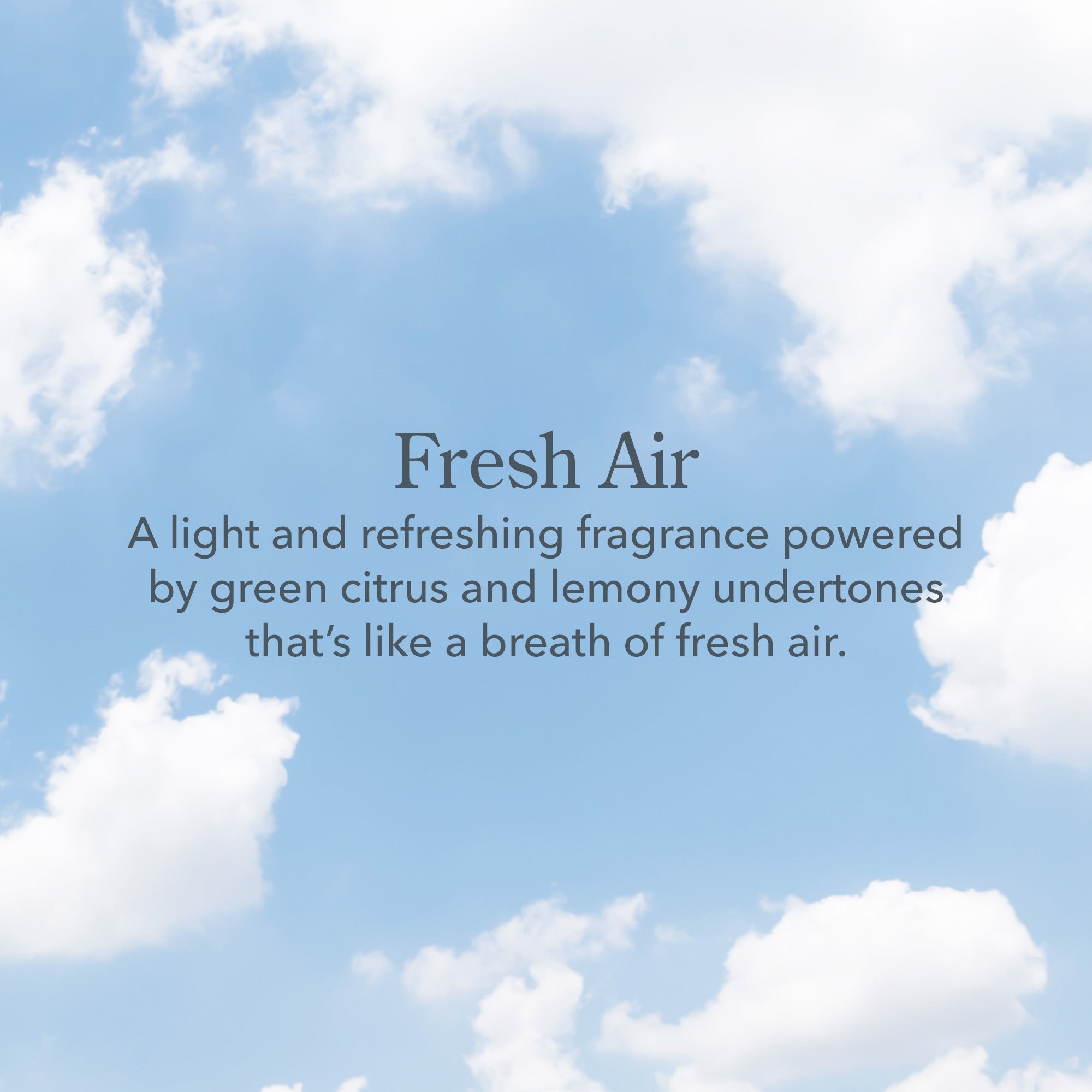 Best Of Bodycare 11-Piece Travel-Sized Scent Sampler Kit - Perfect for Vacation, Gym Bag & On-The-Go Fragrance Tryouts